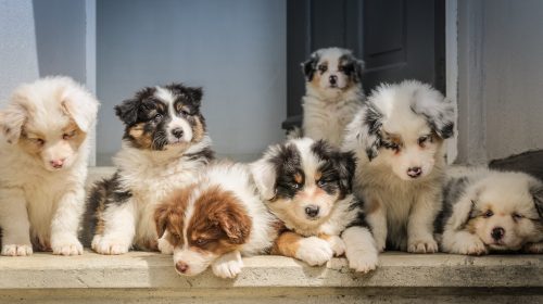 jametlene-reskp-fliwkBbS7oM-unsplash