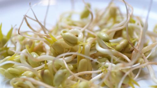 mung-beans-4970350_960_720